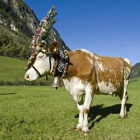 Hotel Gastehaus Huber