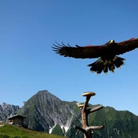 Gastehaus Huber Szálloda Mayrhofen
