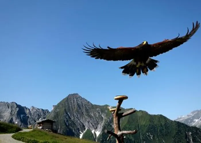 Gastehaus Huber Hotell Mayrhofen